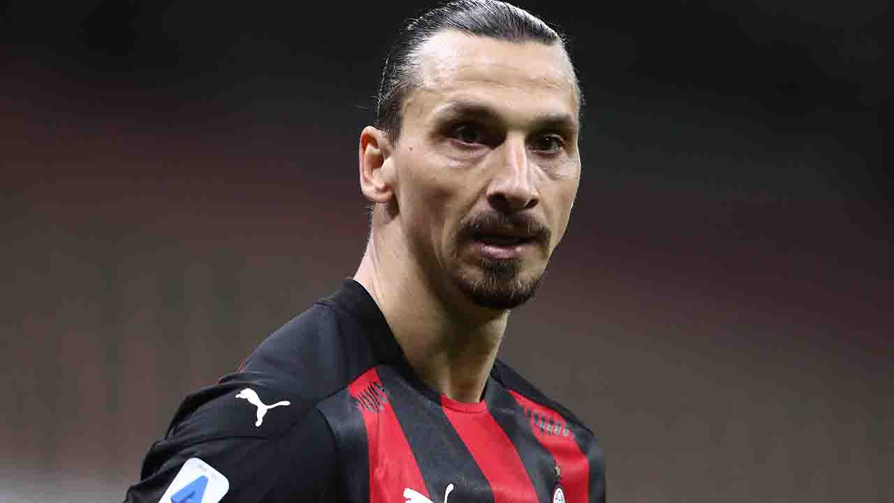Ibrahimovic Tapiro