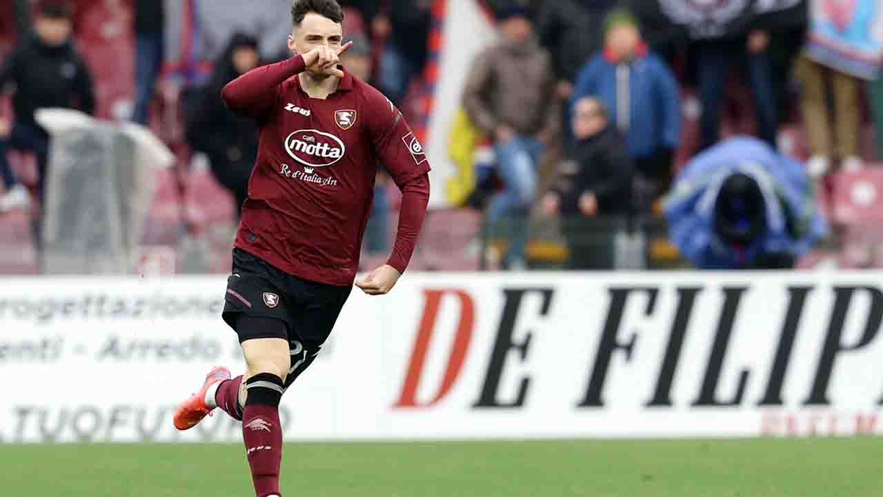 Salernitana Bologna Zortea