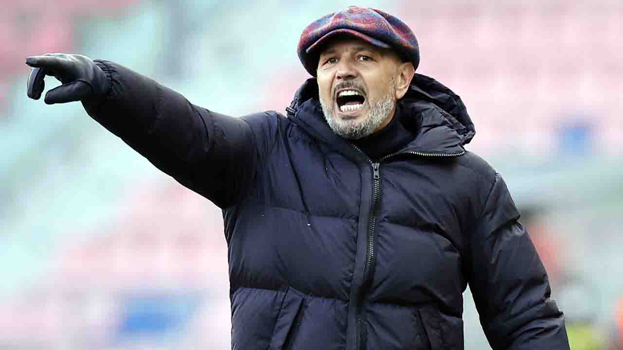 Sinisa Mihajovic