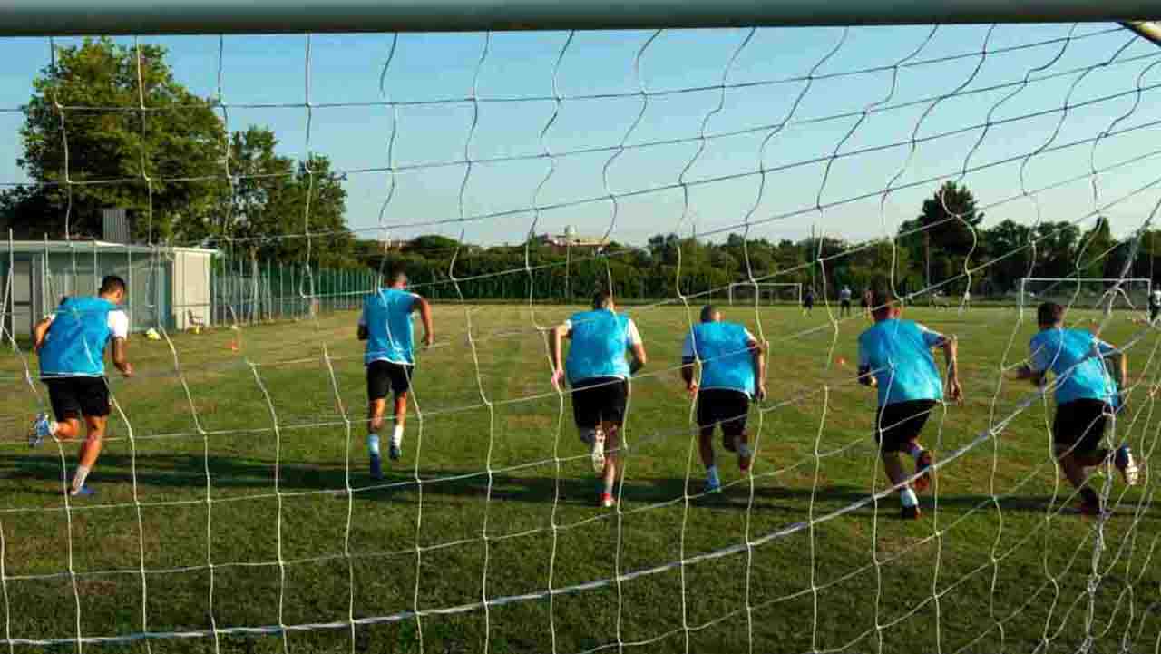 Offseason Nest Football