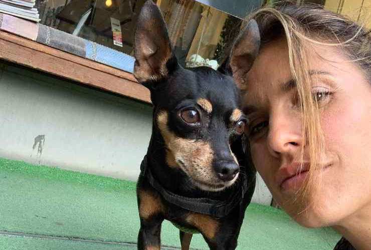 Elisabetta Canalis, post da lacrime: il messaggio ai fan