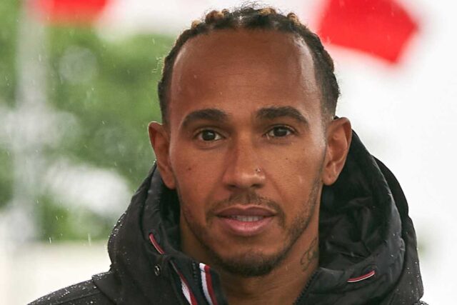 Hamilton, parole poco lusinghiere per lui