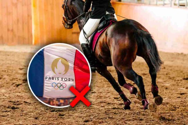 Olimpiadi espulsione stella ippica