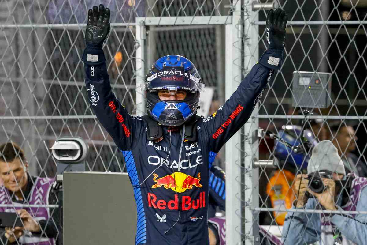 Max Verstappen esulta dopo una gara