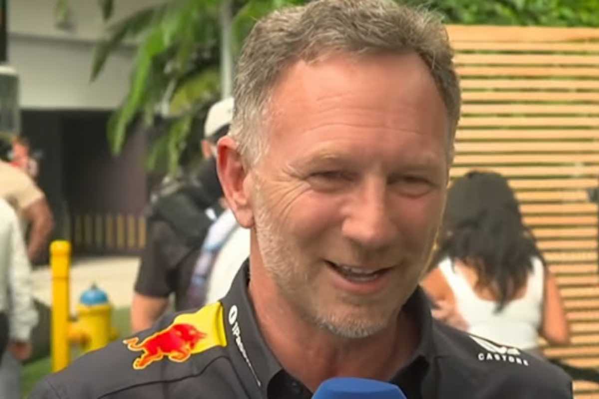 Horner sorridente a Sky