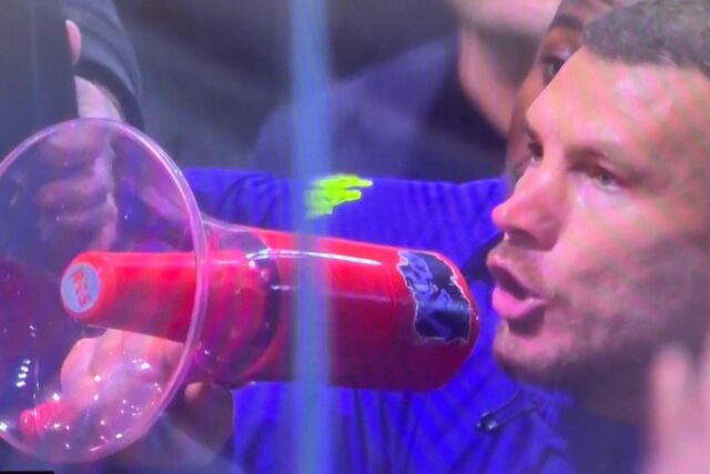 Edin Dzeko, attaccante Fiorentina