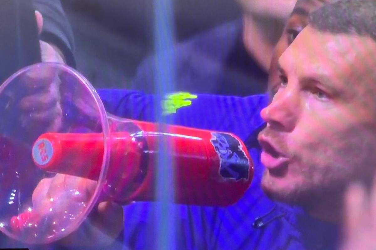 Edin Dzeko, attaccante Fiorentina