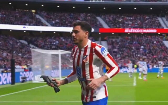 Gimenez salva un piccione in Atletico Madrid-Real Sociedad