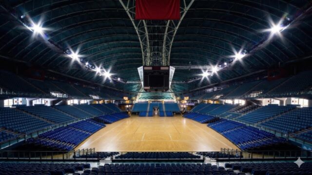 Uefa Futsal Champions League Finals, Arena